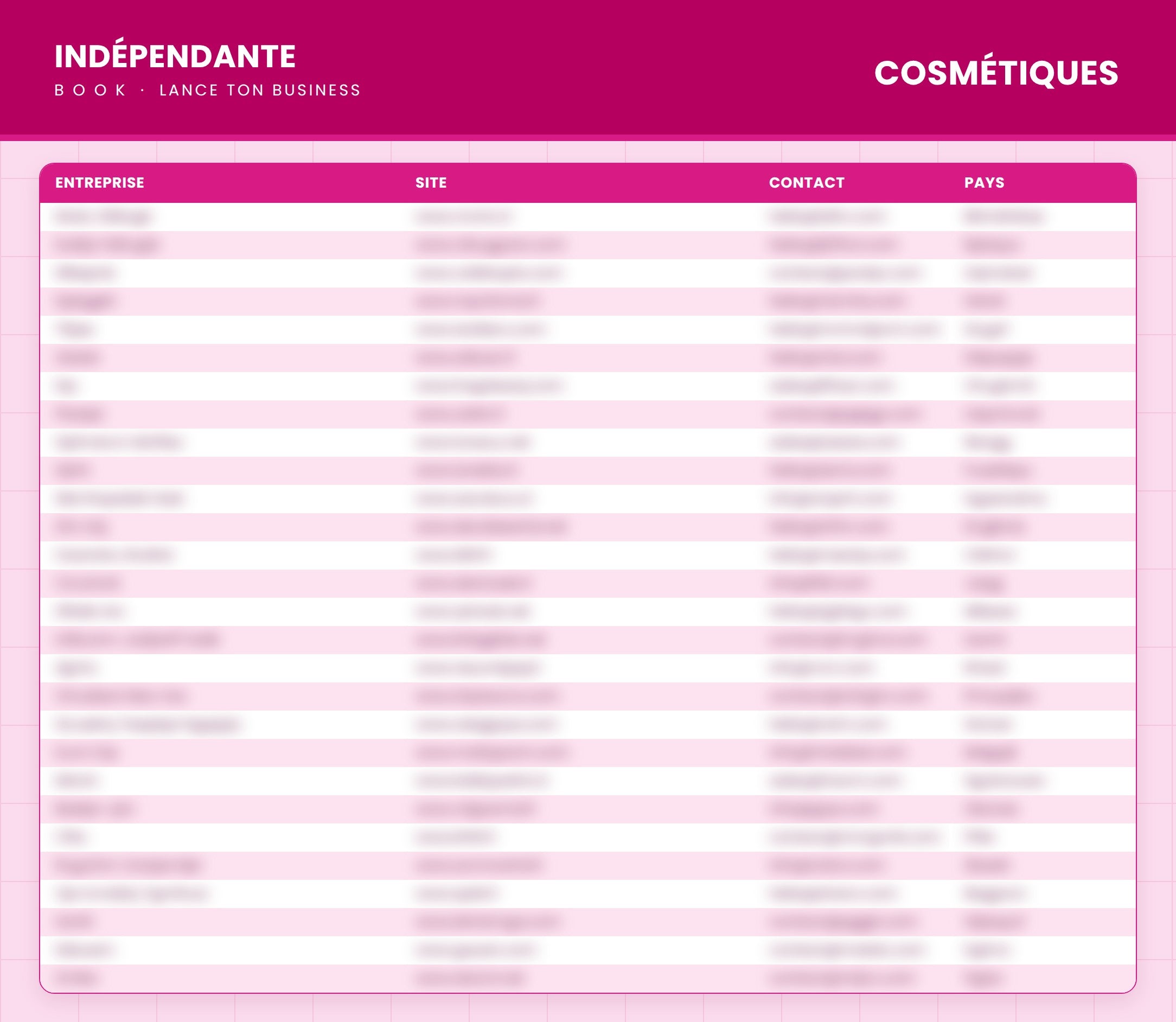 Aperçu d’une page de la catégorie Cosmétiques avec les colonnes entreprise, site, contact et pays